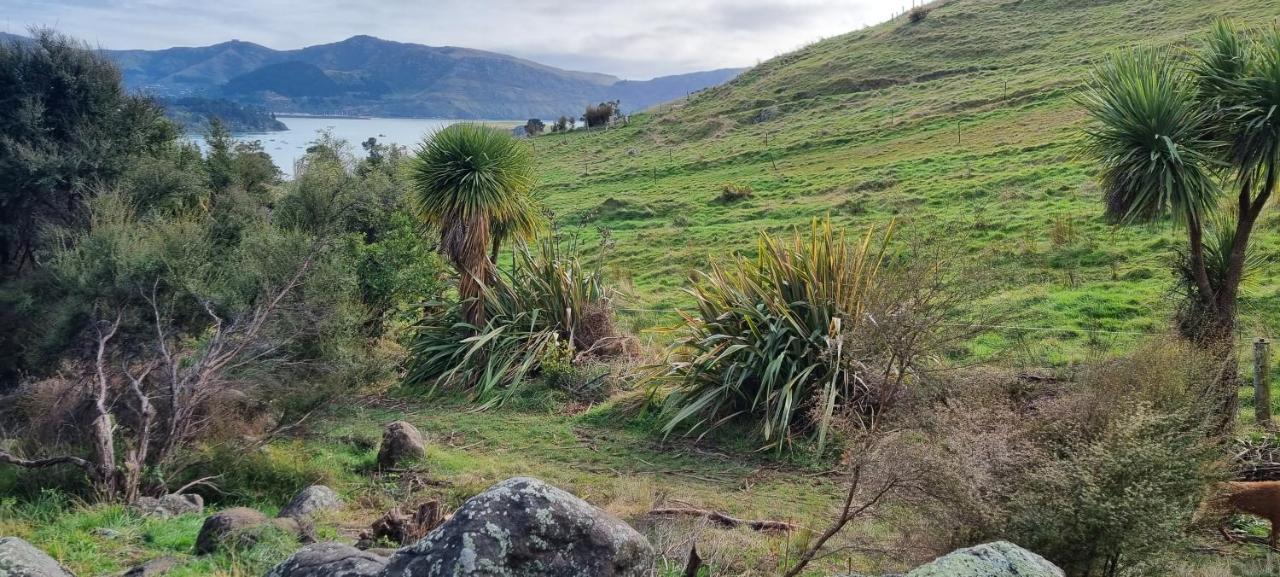 Luxury tent Manaaki Mai, Rustic Retreat Bush Christchurch