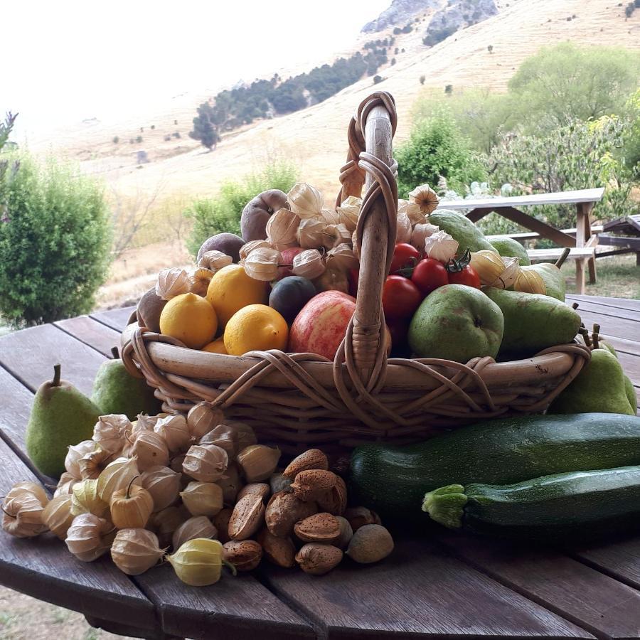 Manaaki Mai, Rustic Retreat Bush Christchurch