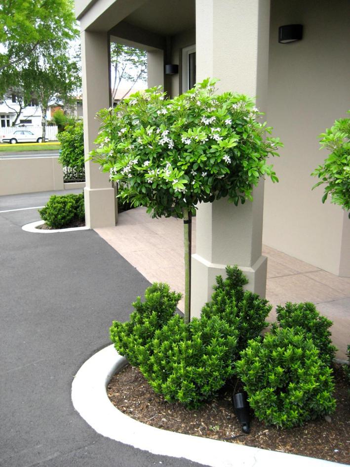 Motel Salerno Christchurch