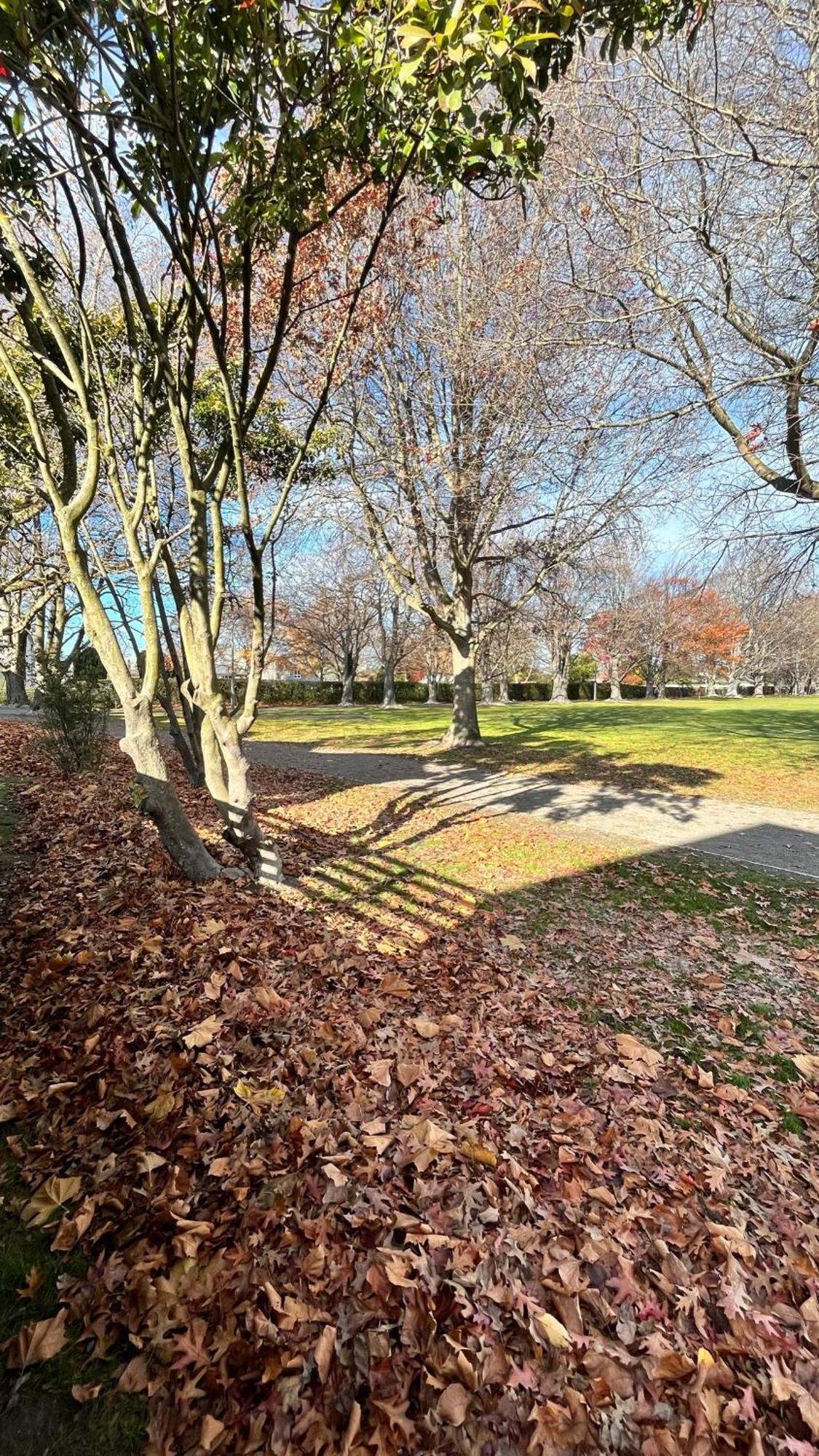Luxury 2 Bedroom By St Park Casa de férias Christchurch