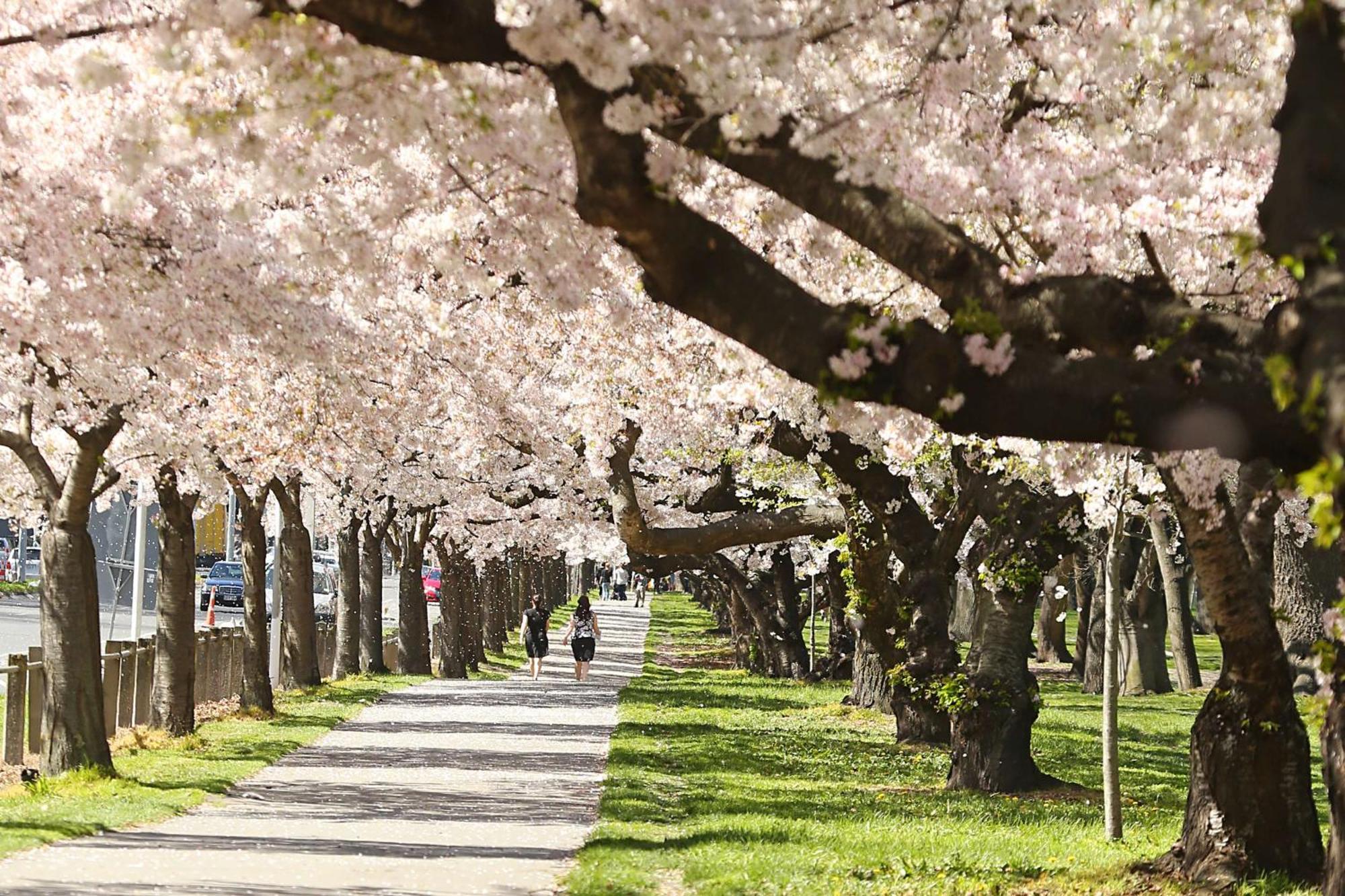 Chateau On The Park - Christchurch, A Doubletree By Hilton 4* Christchurch