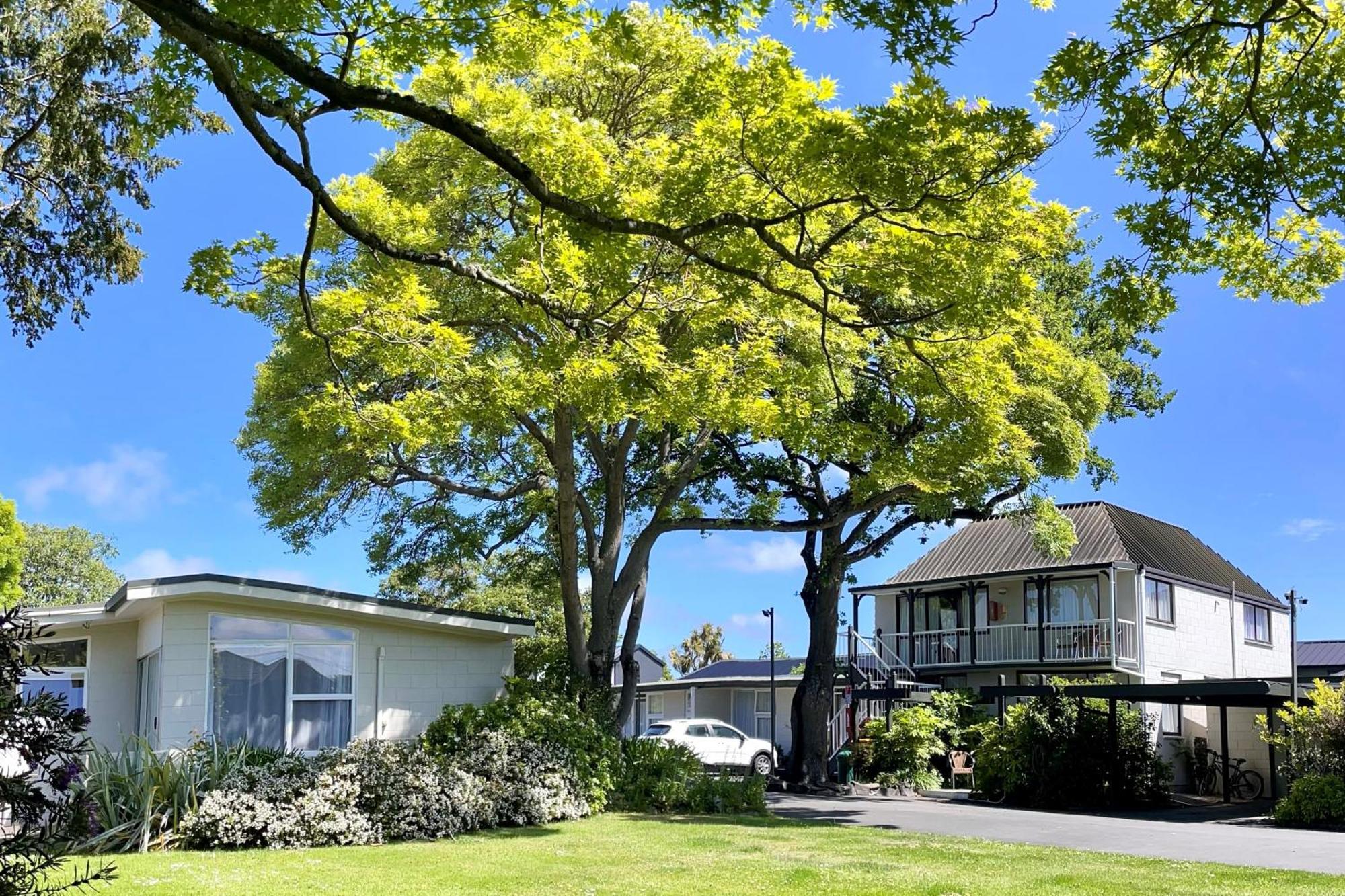 Ashleigh Court Motel-christchurch Hagley Park Motel