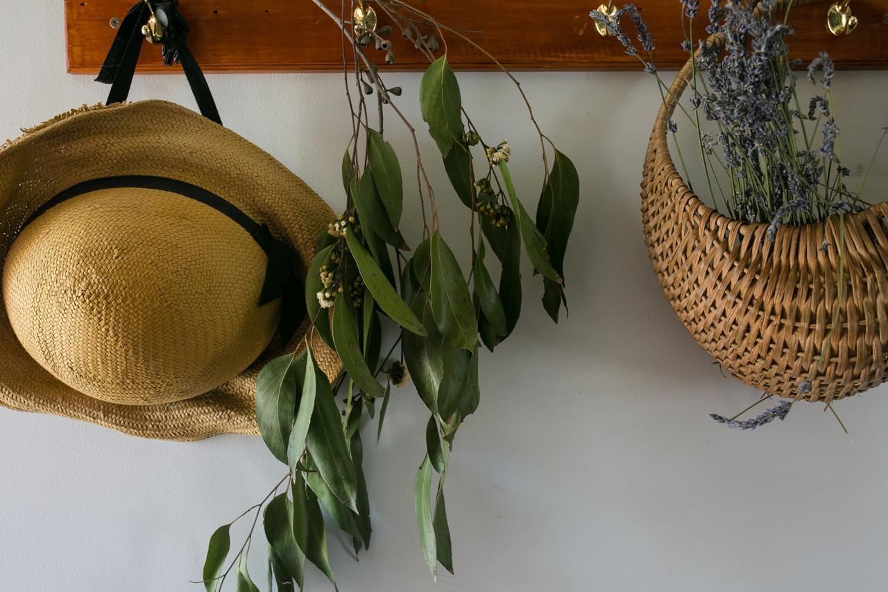 Botanical Homestay * Christchurch