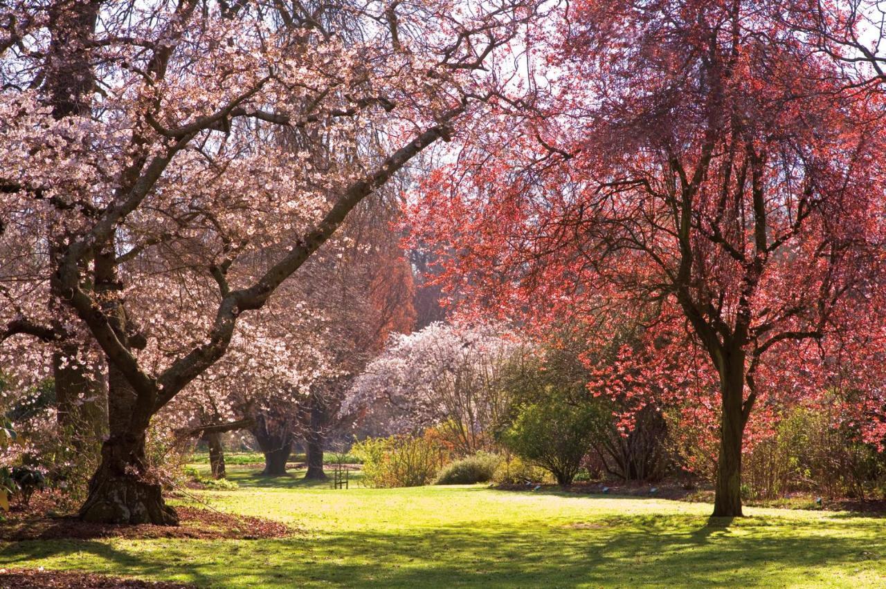Parkview On Hagley Hotel Christchurch