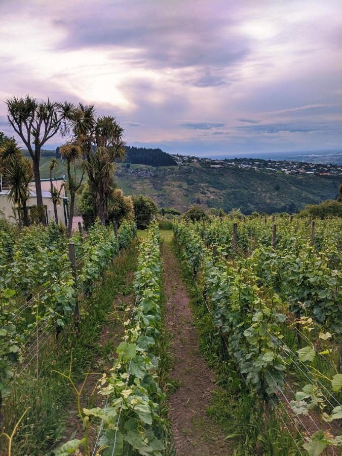 Tussock Hill Vineyard Retreats