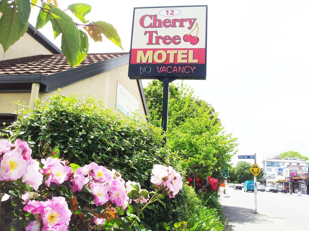 Cherry Tree Christchurch