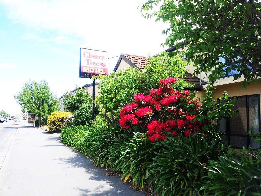 Motel Cherry Tree