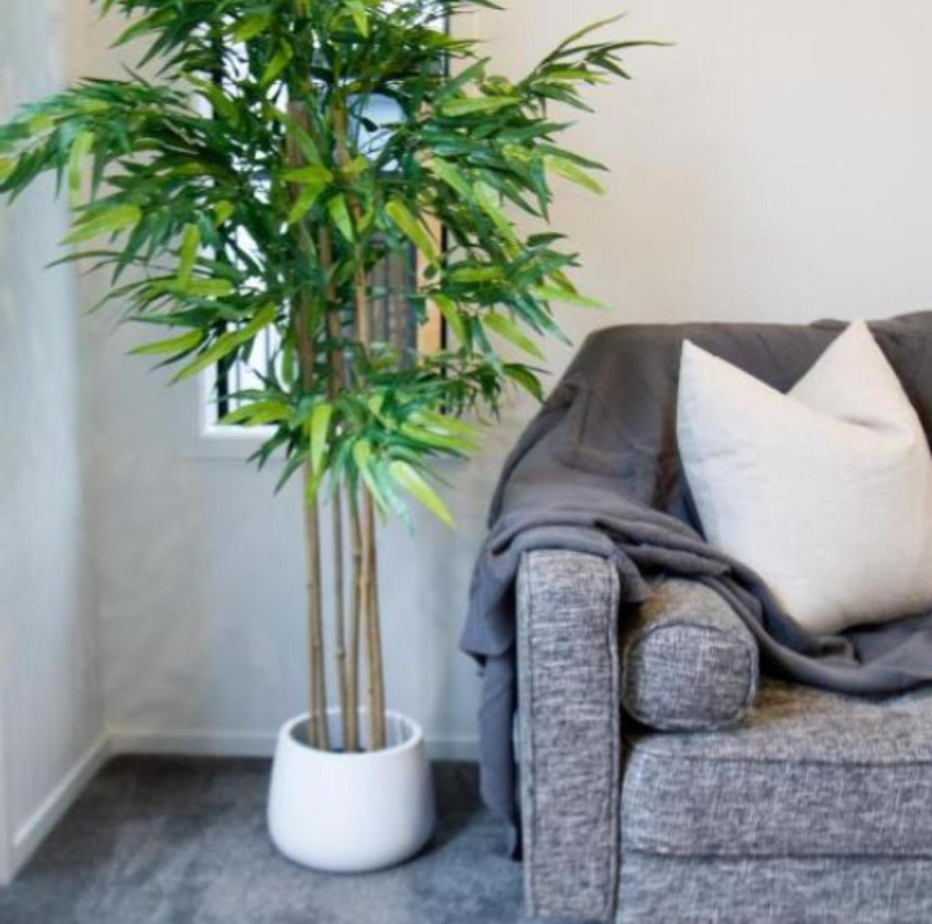 Sunsoaked Seaside 1 Bedroom 1 Bath Apartamento