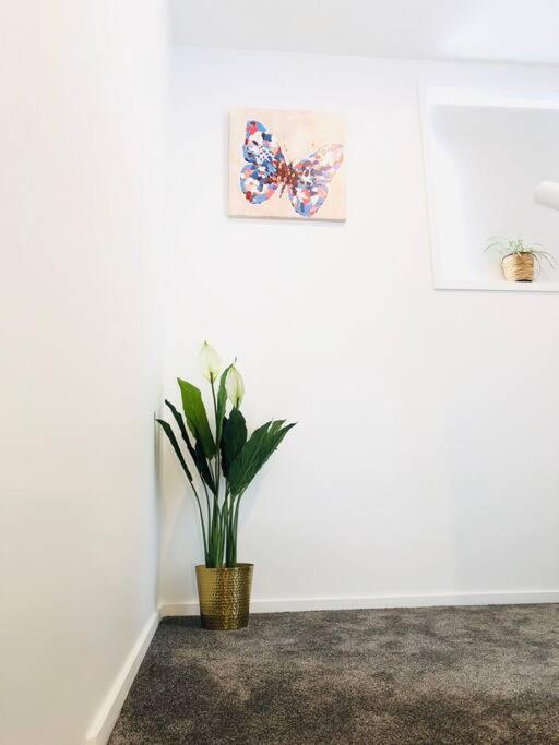 Location With Hagley Park View Christchurch