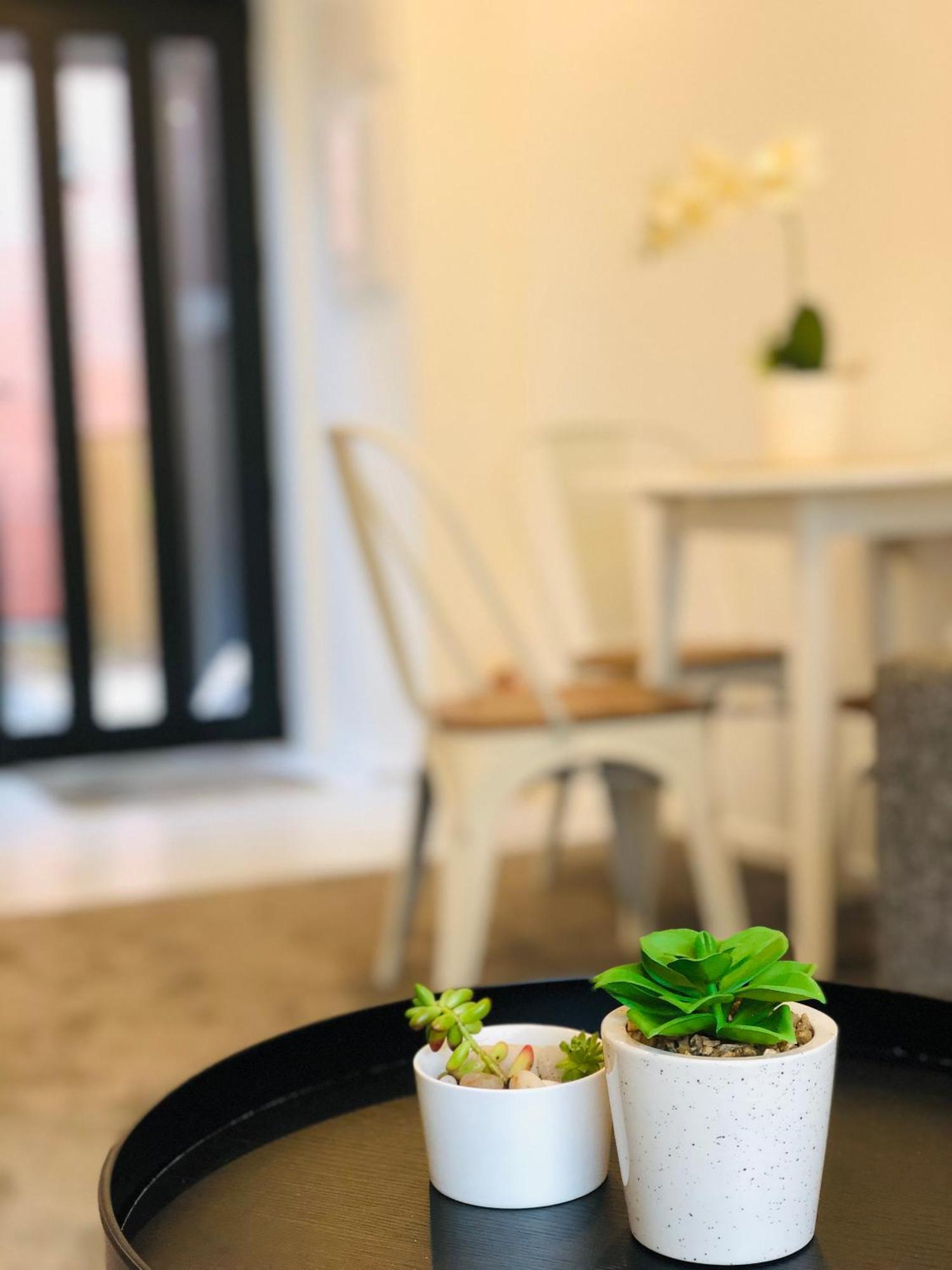 Little Paradise In Centre Apartment Christchurch