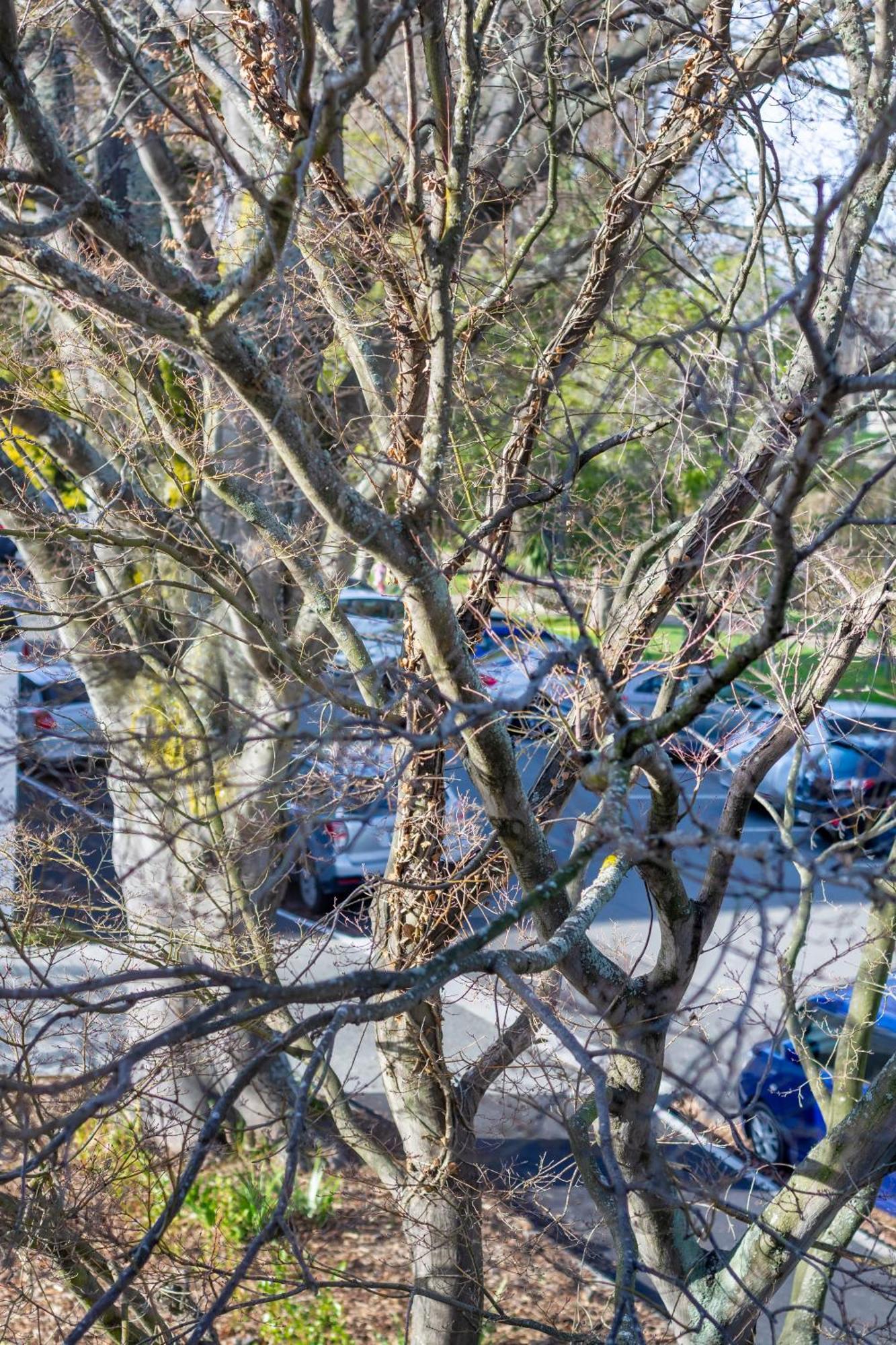 Apartamento Warm With 2 Free Carparks Christchurch