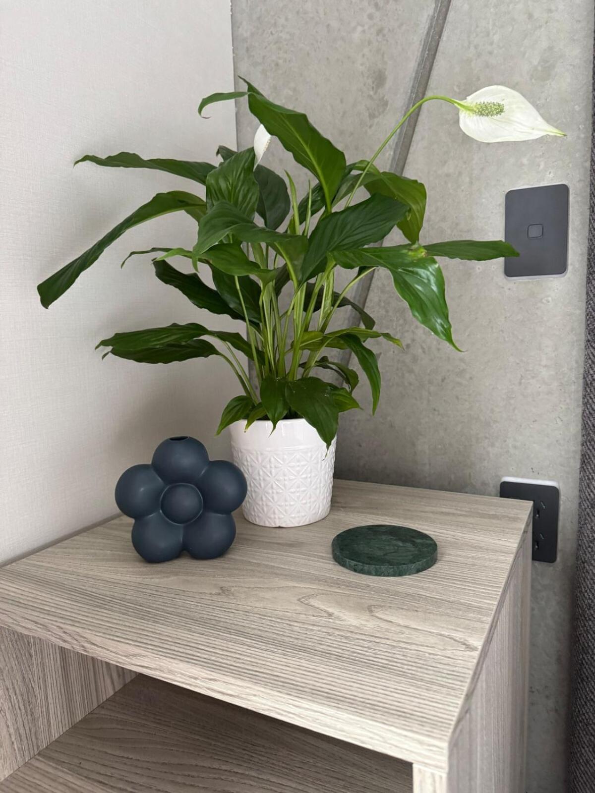 Whitewood 1b Apartment