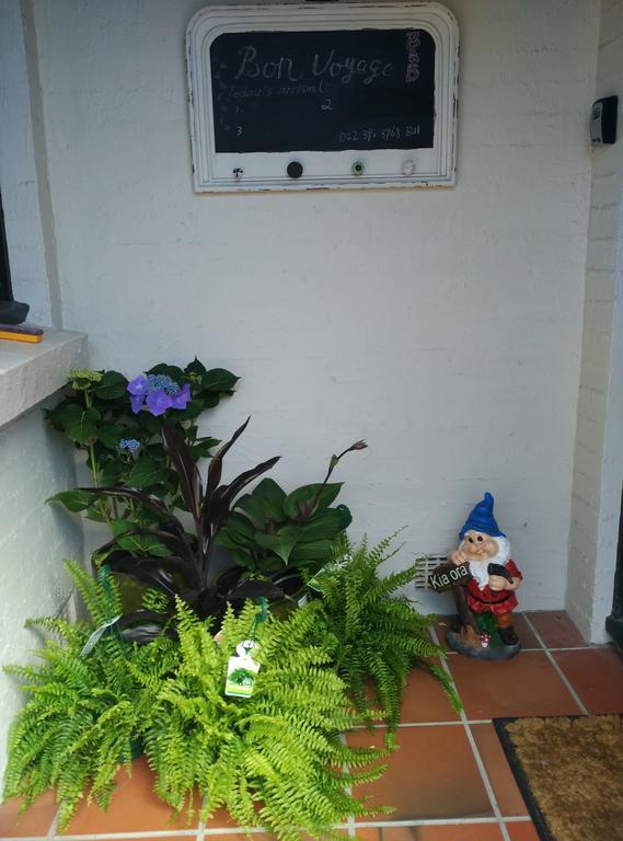 Bed & Breakfast Monica Guest House Christchurch