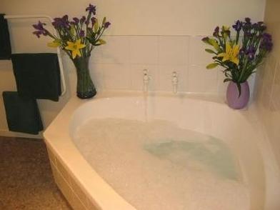 Rosewood Court 4* Christchurch