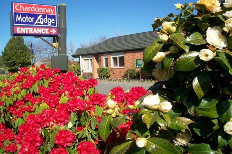 Northwood Motor Christchurch