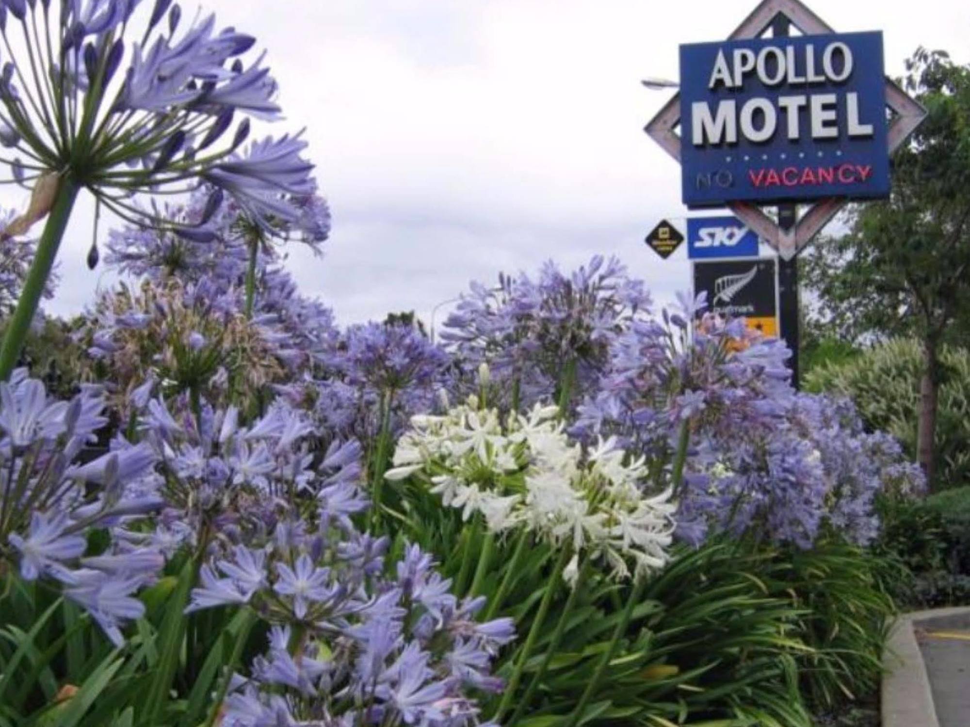 Apollo Motel 4*