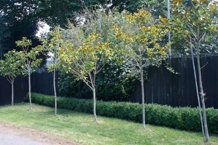 Holiday home Walnut Grove *