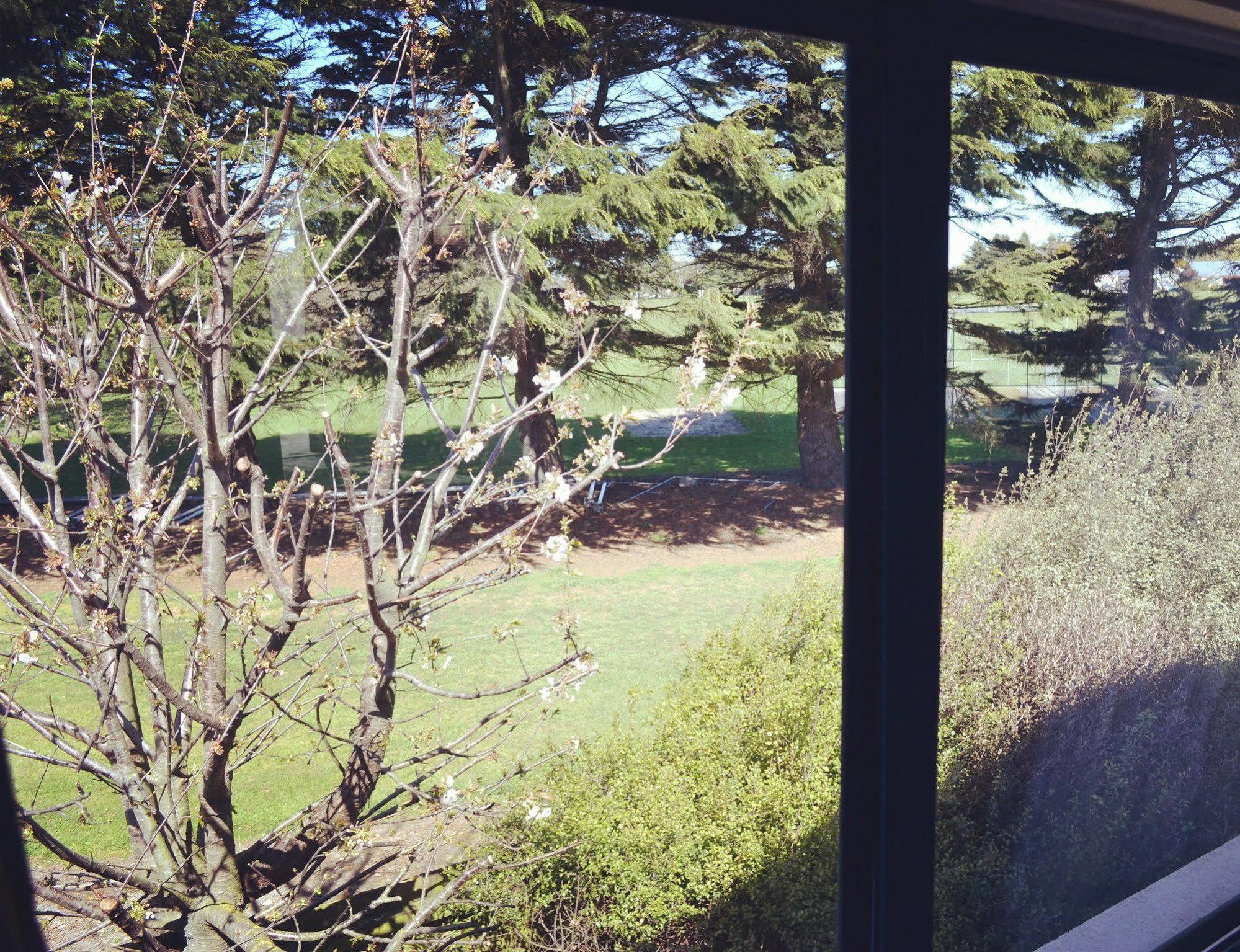 Motel Bush Court Christchurch