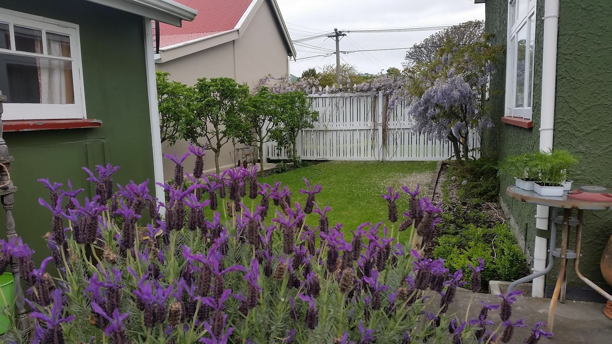Designer 3* Christchurch