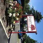 Airport Lodge Motel