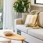 The Majestic Retreat 2 Bed 2 Bath Cbd