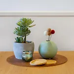 City Living: Upper Studio Haven On Wilmer