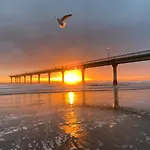 Coastal Sands Escape 1 Bed 1 Bath W/Sofa Bed
