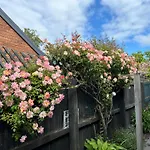 Sunny And Warm Family Holiday House 3 Bedrooms