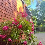 Fendalton Rose Garden Retreat Holiday Home