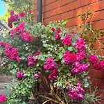 Fendalton Rose Garden Retreat Holiday Home