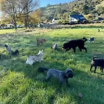 Redcliffs On Park By Sea