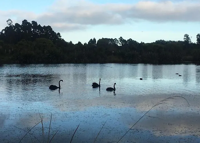 Calm Swan Villa