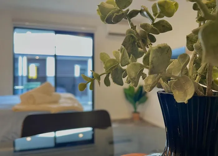 Relaxing Cbd Studio