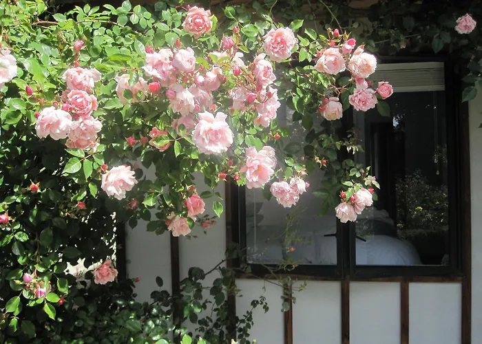 Rose Cottage At The Elms