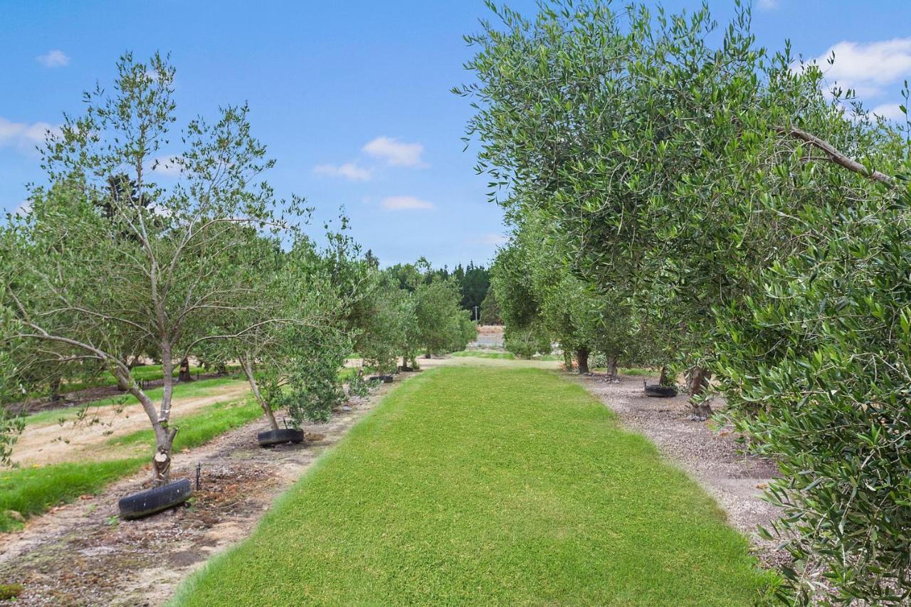 Farm stay Clearwater Olive Estate *