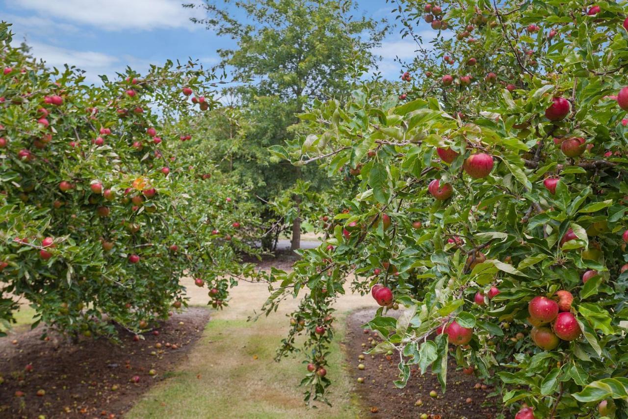 Clearwater Olive Estate