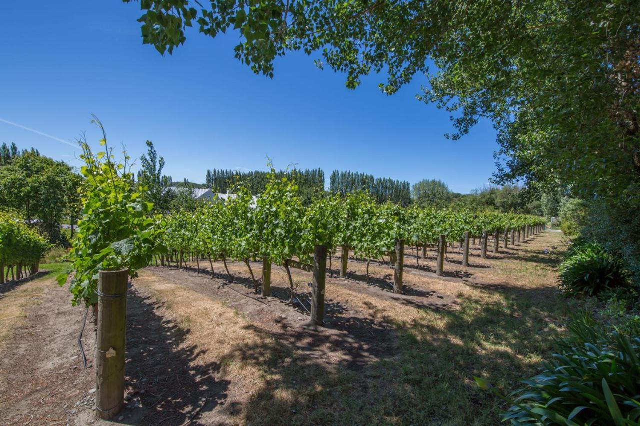 Farm stay Clearwater Olive Estate