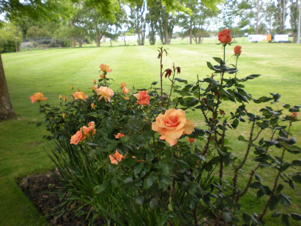 Park Christchurch
