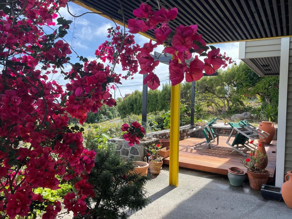Under The Yellow Canopy Apartment Christchurch