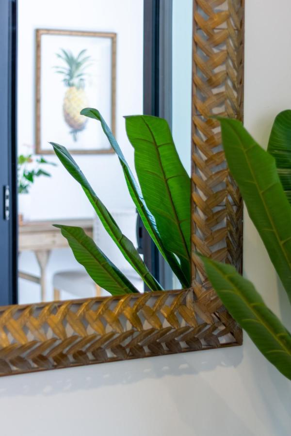 Apartment Heart Of Cbd Hideaway 2bed 1 Bath Christchurch