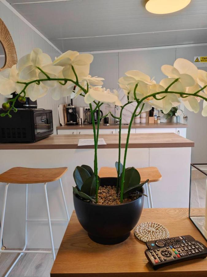 Beautiful 30m2 Tiny Home! Apartment *
