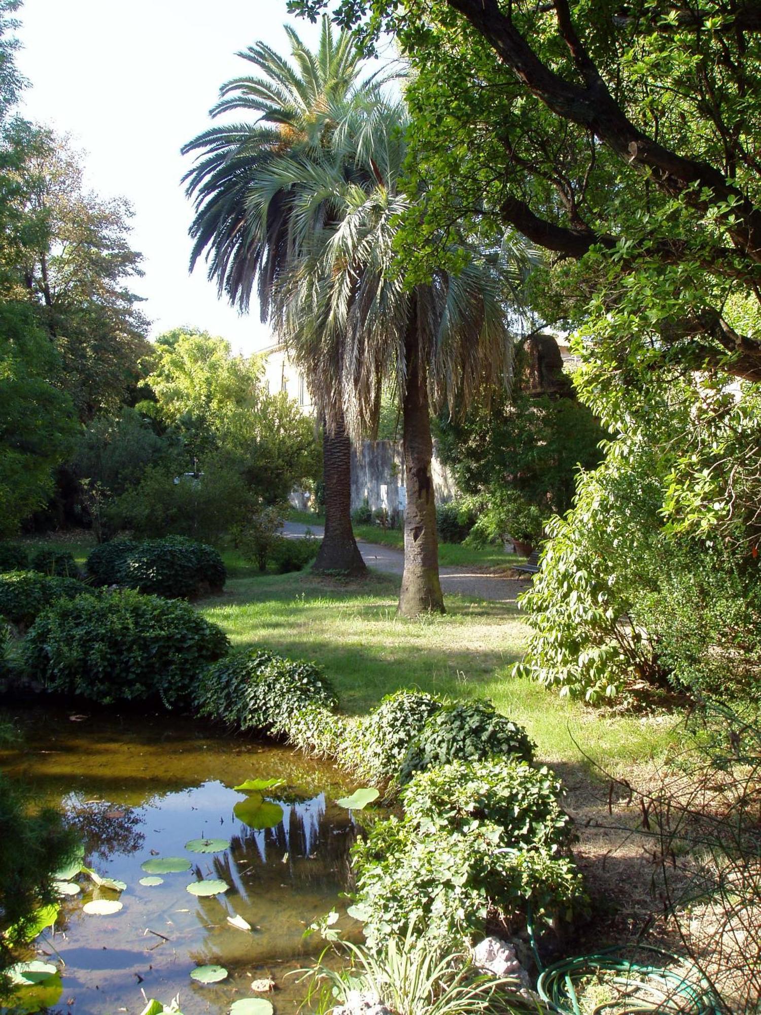 Hagley Park Hidden Gem Apartment