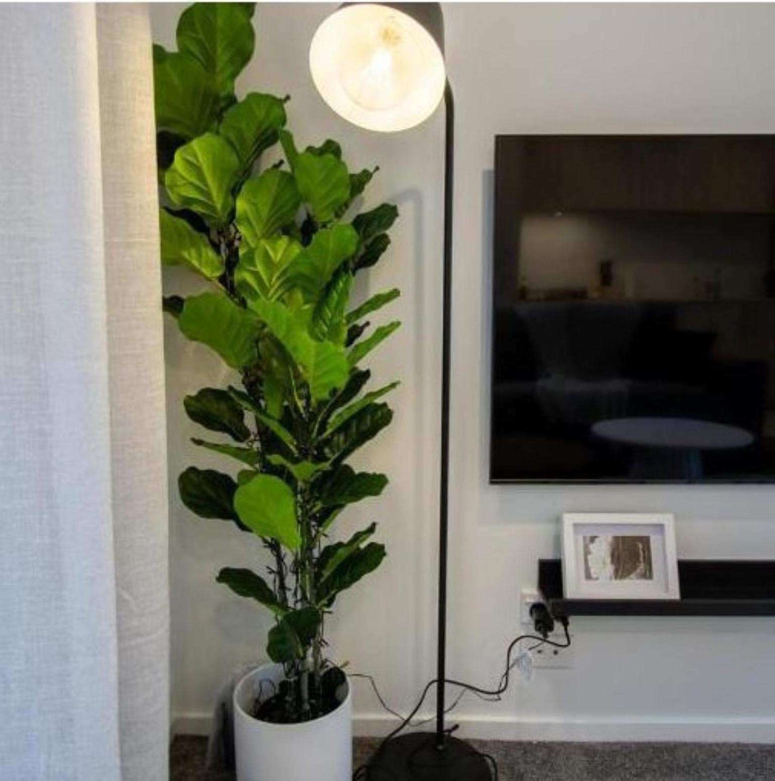 A Touch Of Luxury In Chch Cbd Christchurch