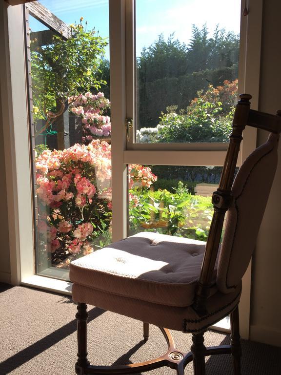 Rhododendron Garden Guest house Christchurch