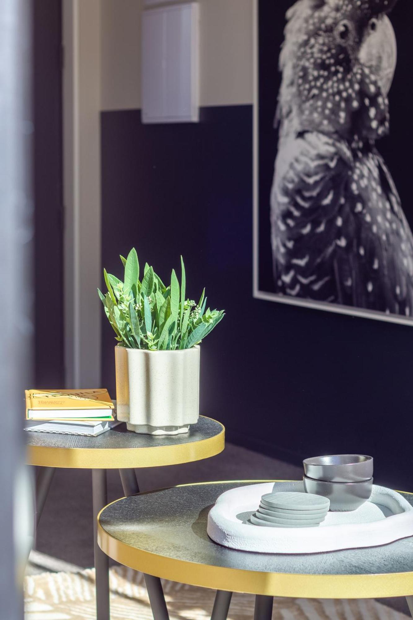 Luxury Without Limits In Cbd * Christchurch