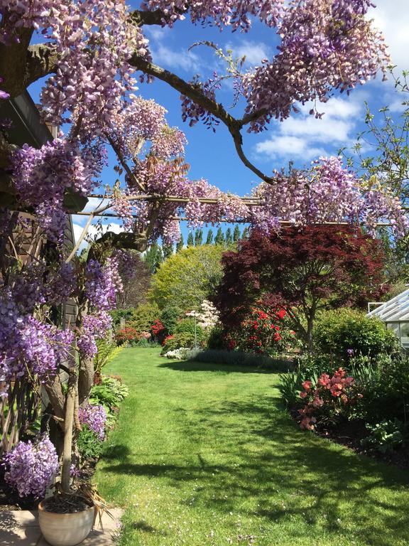 Rhododendron Garden 4*
