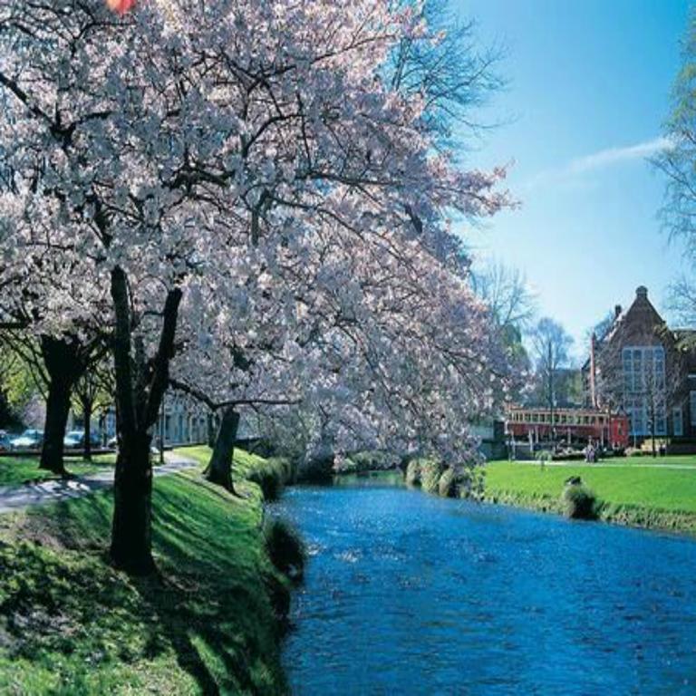 Kiwi Group Accommodations Hostel *