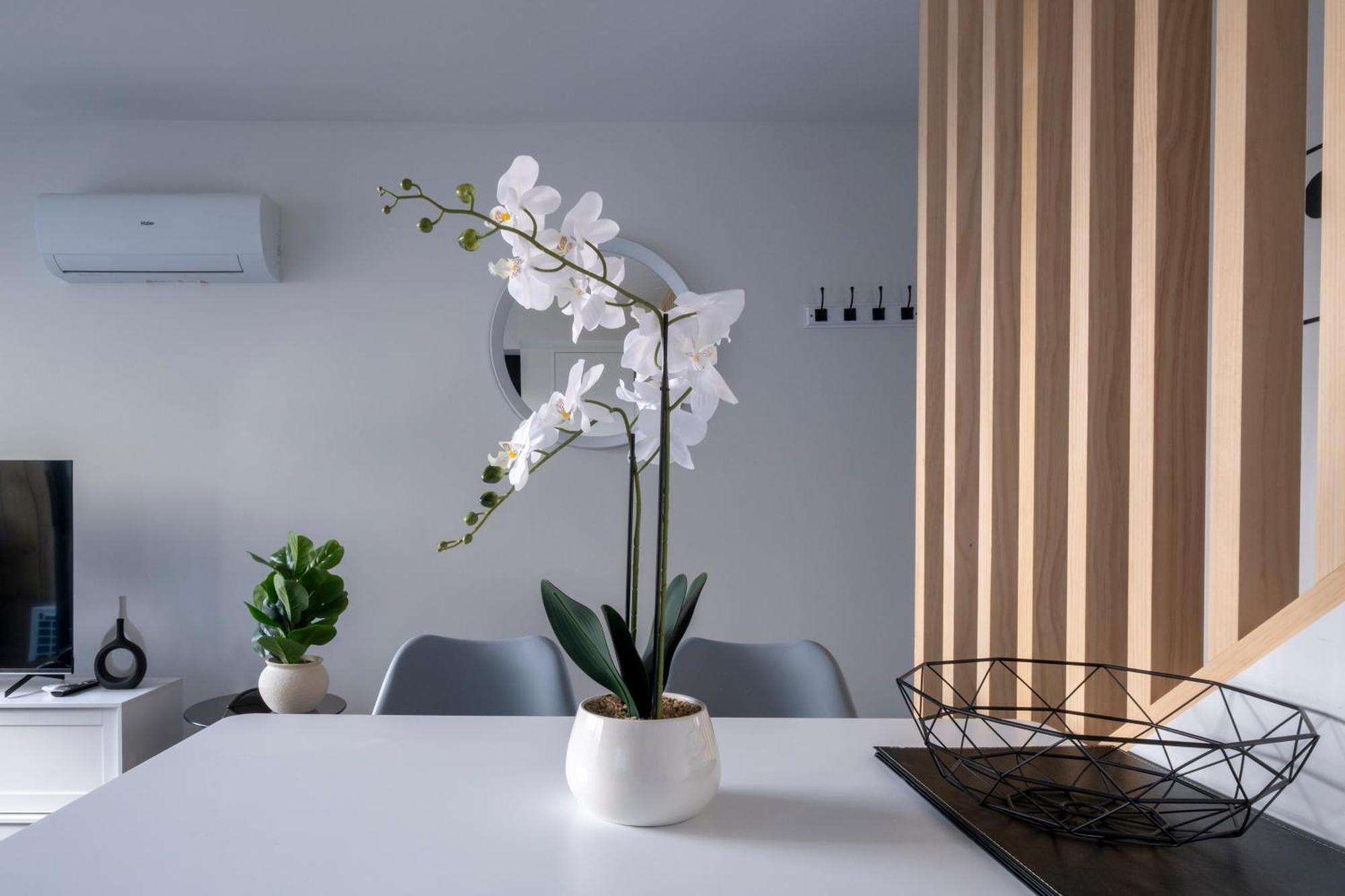 Luxury 2 Bed Townhome In Cbd Apartamento Christchurch