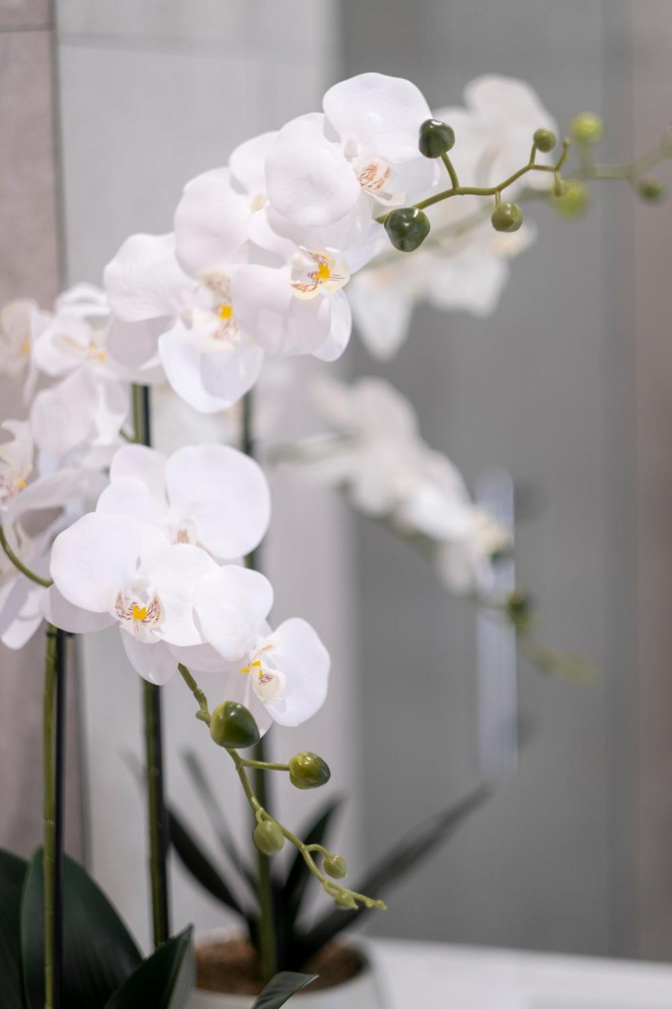 Luxury 2 Bed Townhome In Cbd Apartamento *