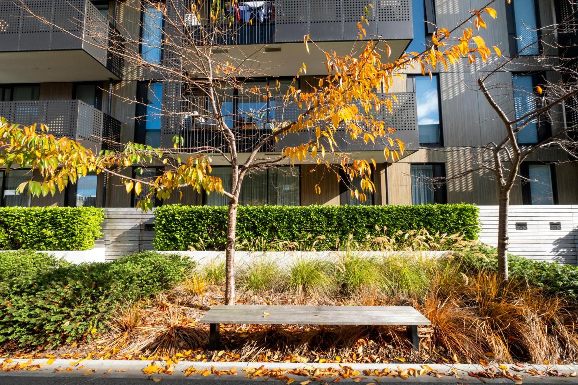 Modern, Ground Floor , Cbd, Free Parking, 2-3 Beds Apartment